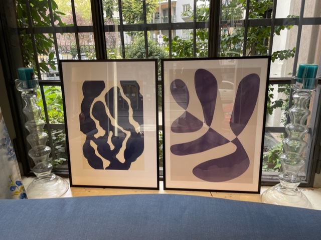 Set 2 quadri cm 52xh72  